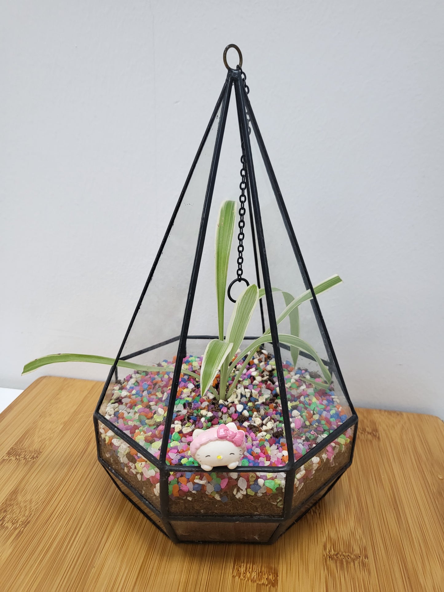 Customisable hanging pot