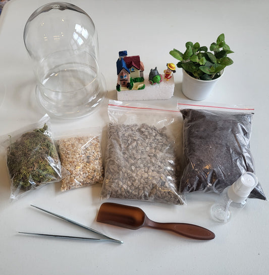 DIY Terrarium Kit (Closed Terrarium)
