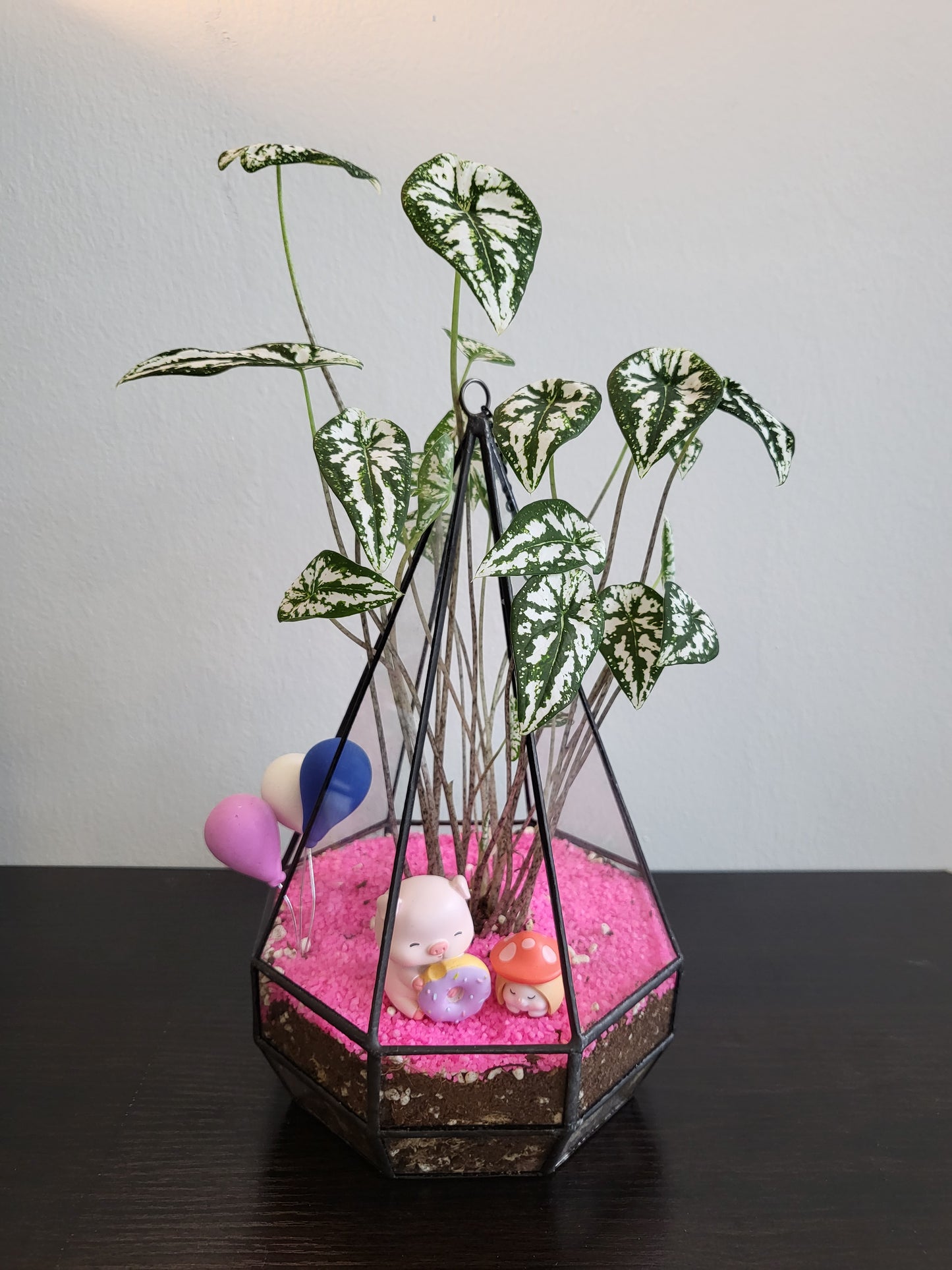 Customisable hanging pot