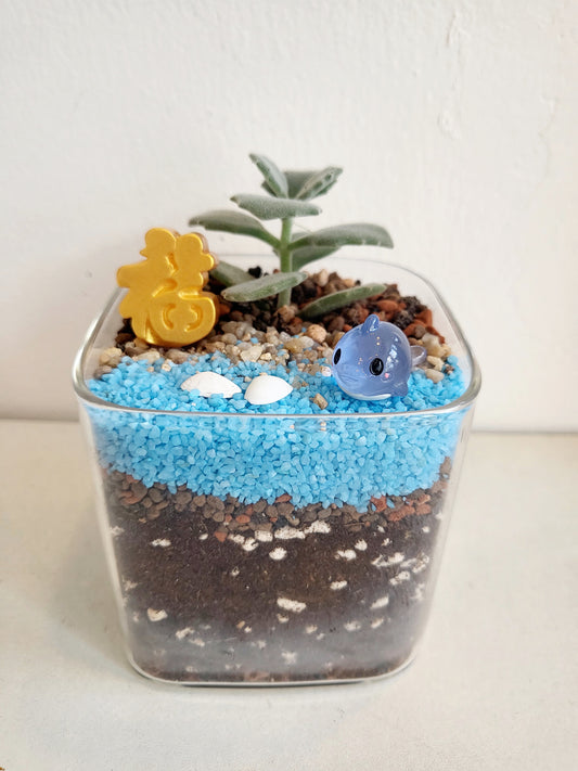 Customisable mini glass jar terrarium