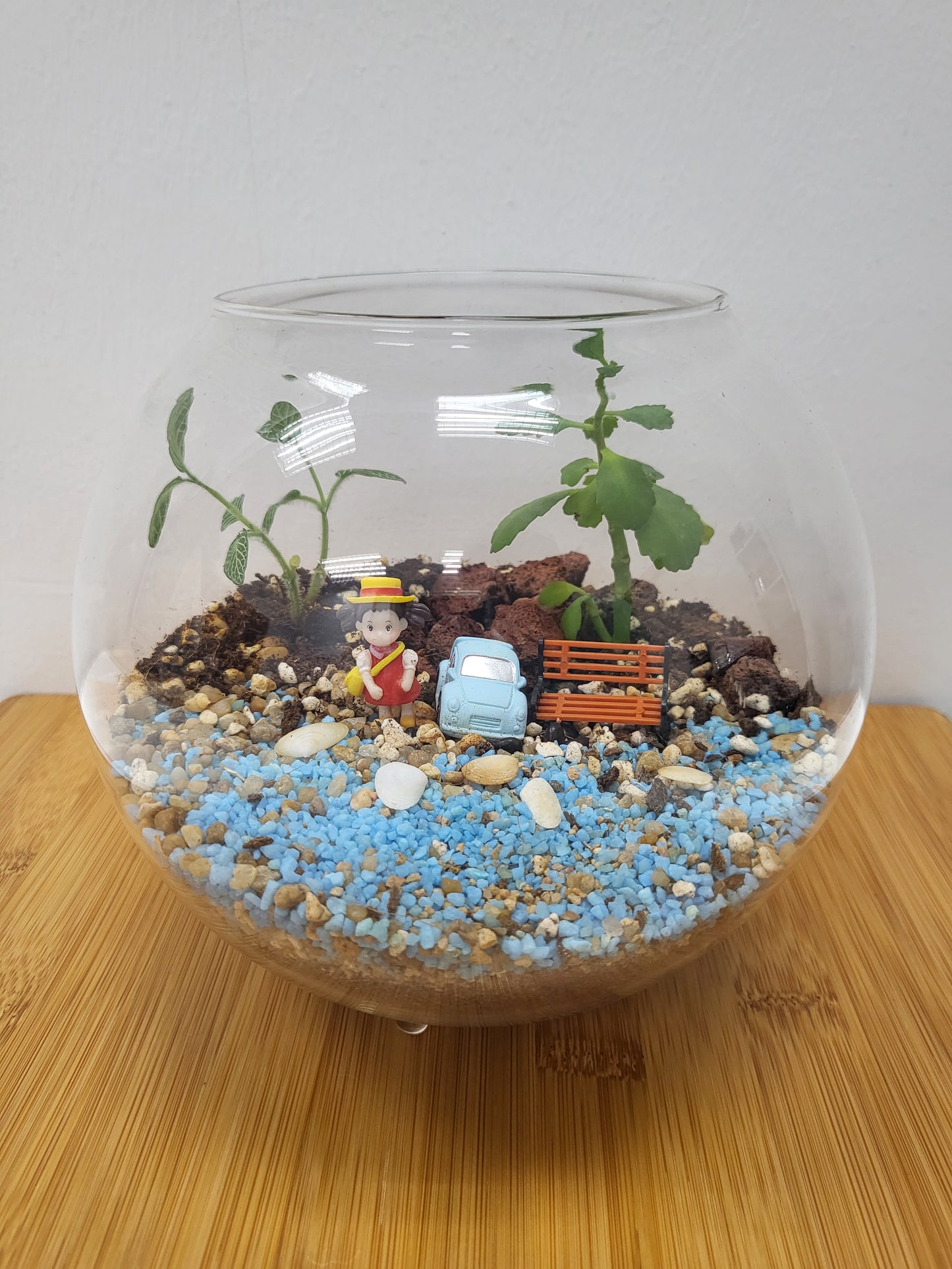 Customisable open terrarium