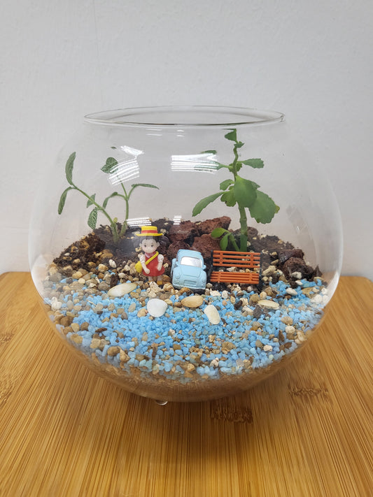 Customisable open terrarium