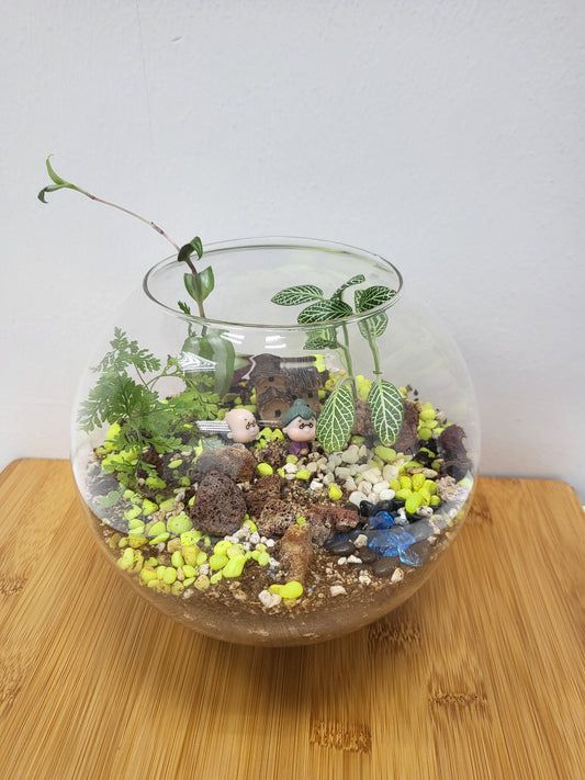 Customisable terrarium - round glass container