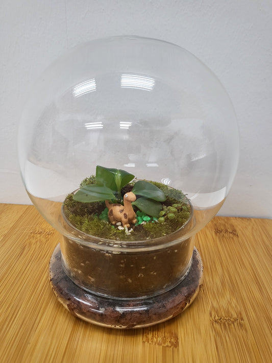 Customisable terrarium - Dinosaur Dome