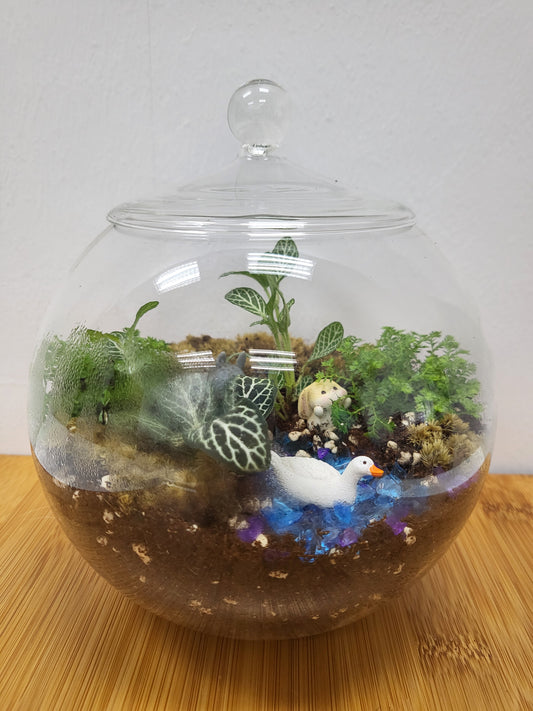Customisable terrarium - riverscape