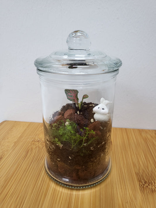 Customisable mini terrarium - Bunny forest