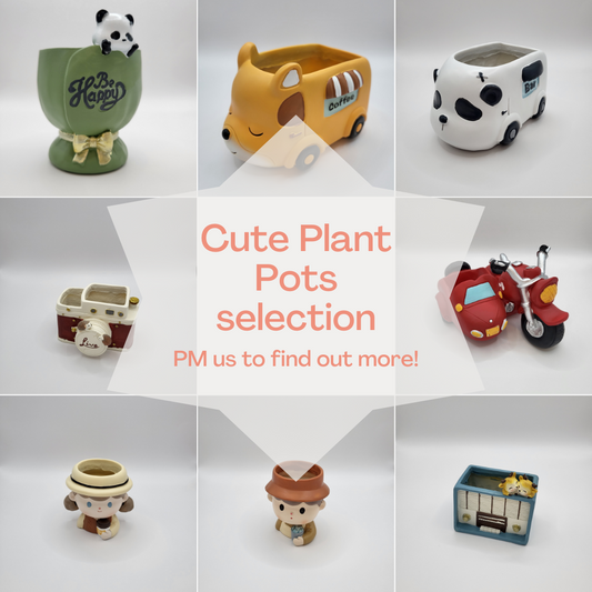Adorable plant pots (comes with 1 plant of your choice)