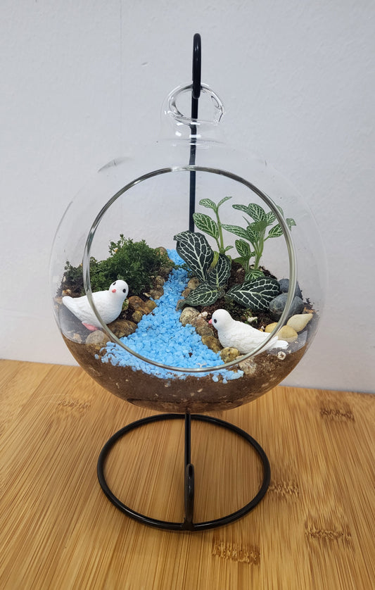 Customisable front open terrarium